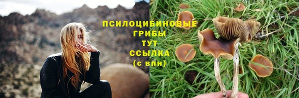 стаф Армянск