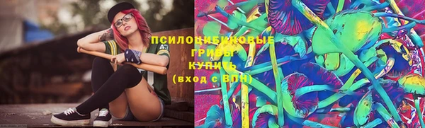 не бодяженный Арсеньев